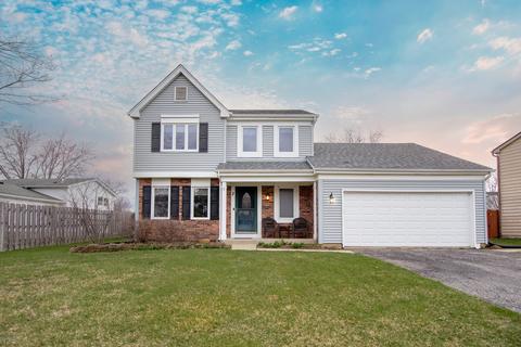 3 Crows Nest Ct, Third Lake, IL 60030 photo 1