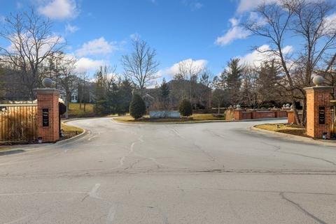 9216 Falling Waters Dr E, Burr Ridge, IL 60527 photo 6