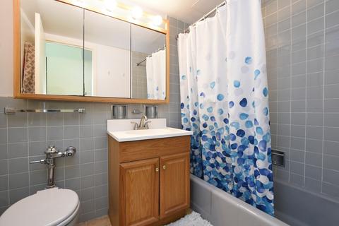 253 E Delaware Pl #9G, Chicago, IL 60611 photo 8