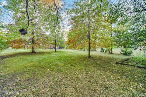 Undisclosed, Olympia Fields, IL 60461 photo 38