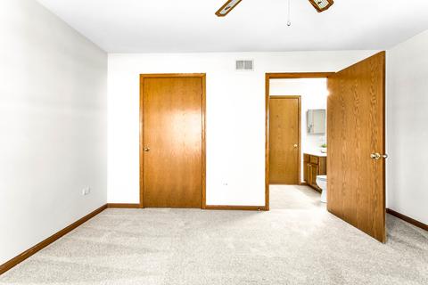 13343 Red Cedar Ln, Plainfield, IL 60544 photo 16