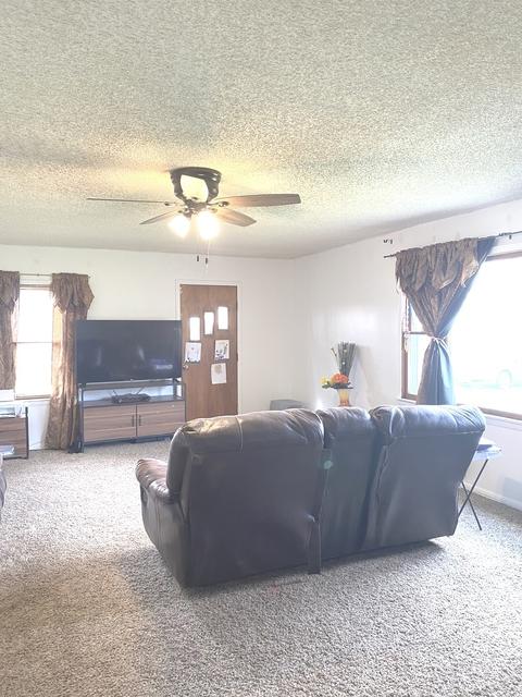 2461 N 16000w Rd, Reddick, IL 60961 photo 5