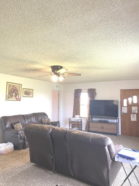 2461 N 16000w Rd, Reddick, IL 60961 photo 6