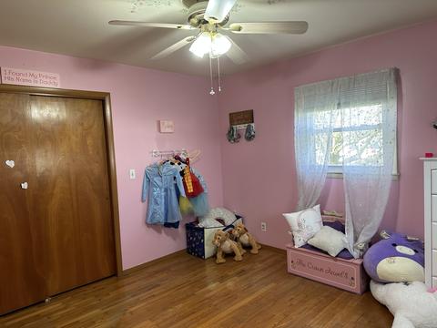 217 N Mill St, Camargo, IL 61919 photo 17