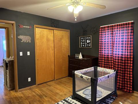 217 N Mill St, Camargo, IL 61919 photo 19