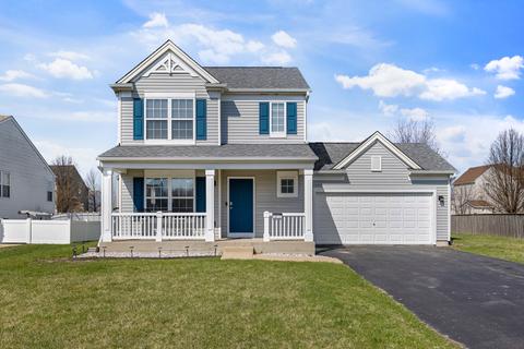 1217 Switchgrass Ct, Minooka, IL 60447 photo 1