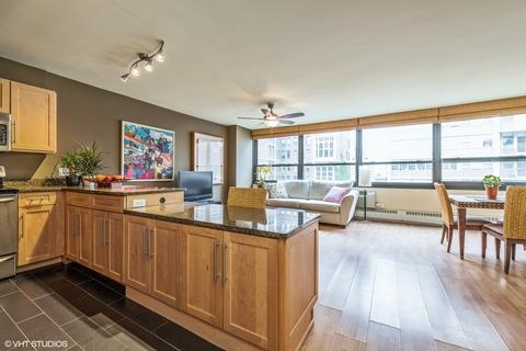33 E Cedar St #12F, Chicago, IL 60611 photo 6
