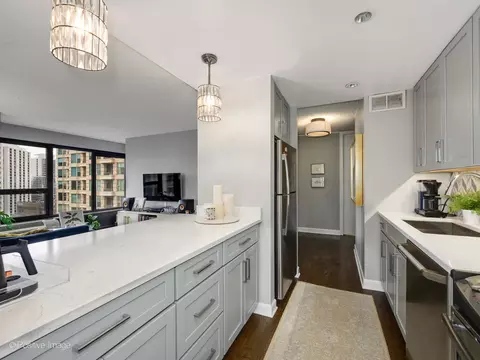 30 E Huron St #1804, Chicago, IL 60611 photo 10
