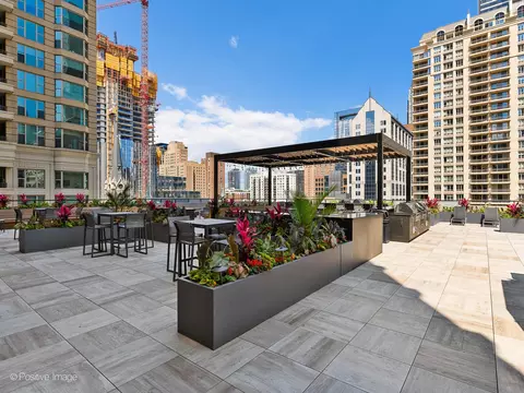 30 E Huron St #1804, Chicago, IL 60611 photo 23