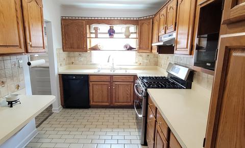 1079 Alfini Dr, Des Plaines, IL 60016 photo 8