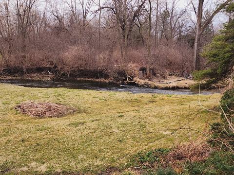 1450 Wing St #2B, Elgin, IL 60123 photo 14