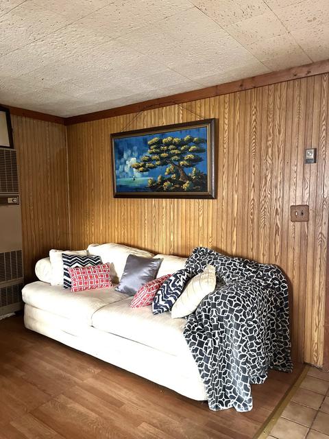 11 E Rocket Cir, Park Forest, IL 60466 photo 31