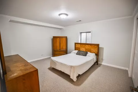 26711 Lindengate Cir, Plainfield, IL 60585 photo 31