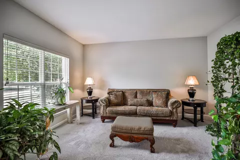 26711 Lindengate Cir, Plainfield, IL 60585 photo 33