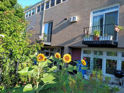 1373 E 55th Pl, Chicago, IL 60637 photo 30