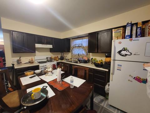103 E Pineview Dr, Round Lake Park, IL 60073 photo 4
