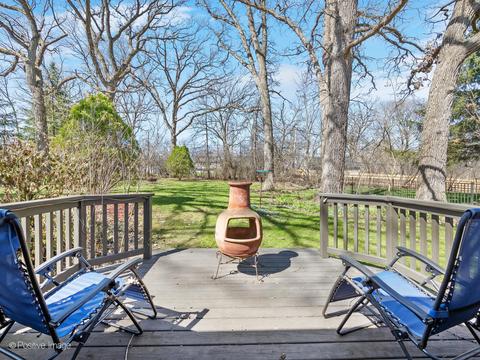 4608 Devon Ave, Lisle, IL 60532 photo 29