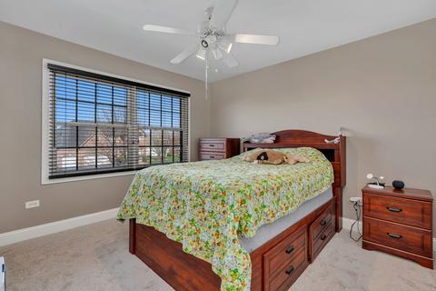 15922 S Selfridge Cir, Plainfield, IL 60586 photo 29
