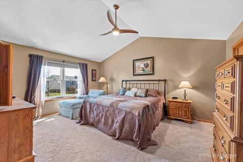 1814 Arbor Fields Dr, Plainfield, IL 60586 photo 20