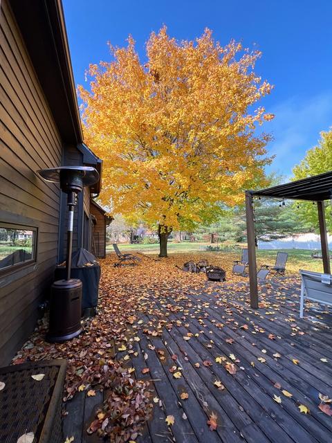 1012 Galen Dr, Champaign, IL 61821 photo 19