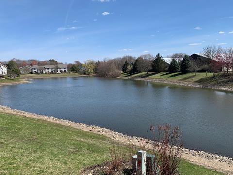 1008 Bernette Ct, Naperville, IL 60540 photo 7