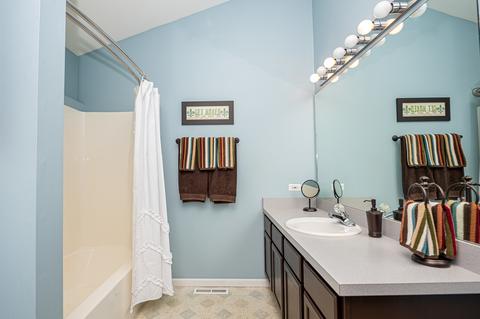 2108 Alpine Way, Plainfield, IL 60586 photo 10