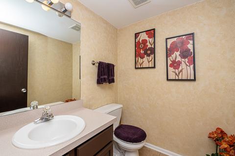 2108 Alpine Way, Plainfield, IL 60586 photo 7
