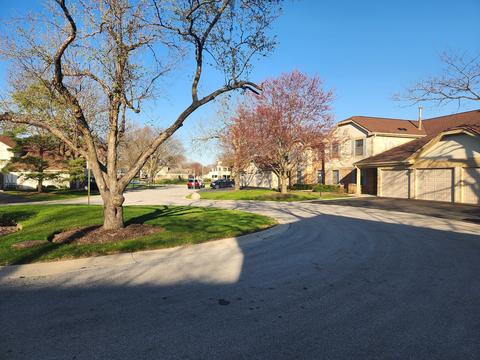 1159 Buckingham Ct #C2, Wheeling, IL 60090 photo 3
