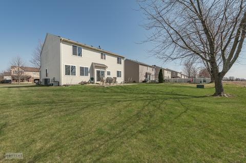 14320 Capital Dr, Plainfield, IL 60544 photo 30