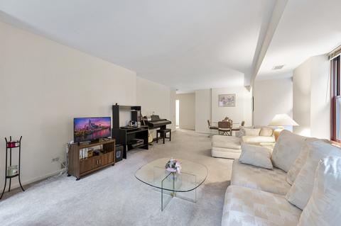 40 E 9th St #406, Chicago, IL 60605 photo 11