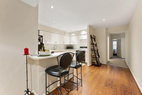 40 E 9th St #406, Chicago, IL 60605 photo 4