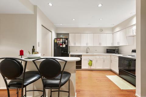 40 E 9th St #406, Chicago, IL 60605 photo 5