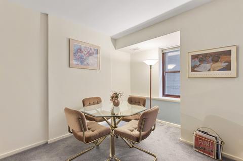 40 E 9th St #406, Chicago, IL 60605 photo 12