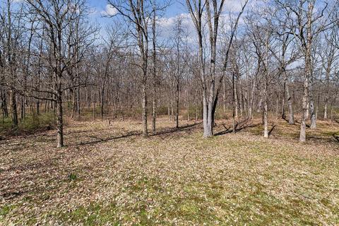 1839 E Rainbow Ln, Crete, IL 60417 photo 2