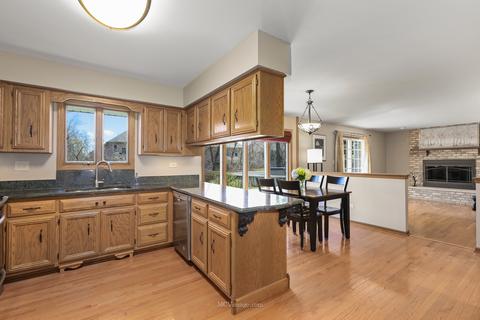 950 Schultz St, Lemont, IL 60439 photo 13
