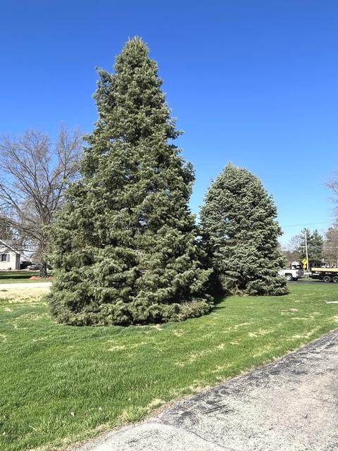 1465 N Samara Ave, Kankakee, IL 60901 photo 4
