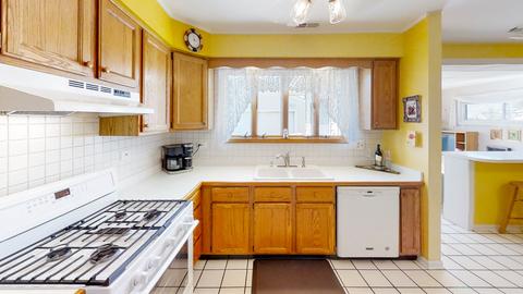 912 S 3rd Ave, Des Plaines, IL 60016 photo 10