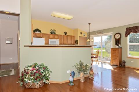 6335 Cork Ln, Mchenry, IL 60050 photo 6