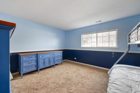 218 Cassidy Ln, Elgin, IL 60124 photo 21
