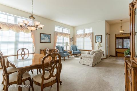 21429 W Larch Ct, Plainfield, IL 60544 photo 5
