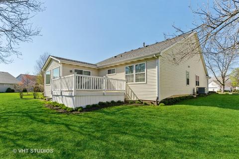 21429 W Larch Ct, Plainfield, IL 60544 photo 27
