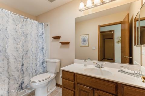 21429 W Larch Ct, Plainfield, IL 60544 photo 17