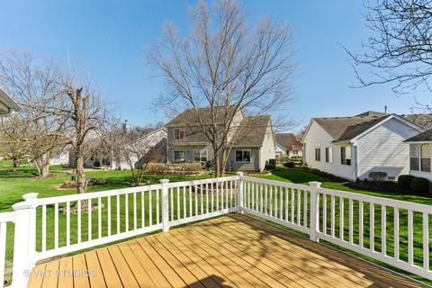 21429 W Larch Ct, Plainfield, IL 60544 photo 26