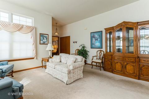 21429 W Larch Ct, Plainfield, IL 60544 photo 4