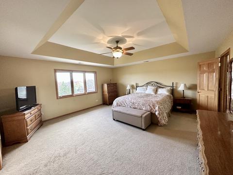 12150 Heinecke Dr, Mokena, IL 60448 photo 16