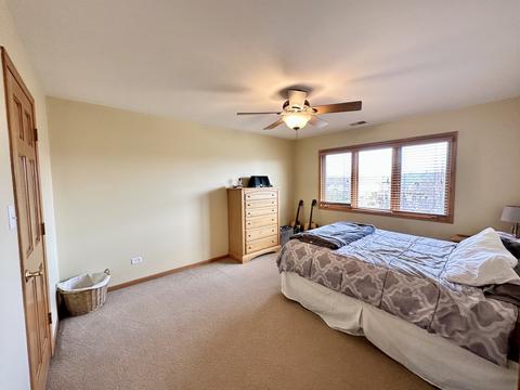 12150 Heinecke Dr, Mokena, IL 60448 photo 21