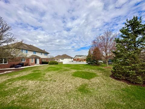 12150 Heinecke Dr, Mokena, IL 60448 photo 32