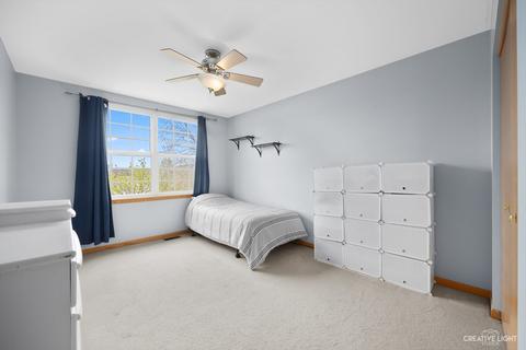 4305 Mallard Ln, Plainfield, IL 60586 photo 13