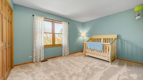 1808 Edgewood Dr, Algonquin, IL 60102 photo 25