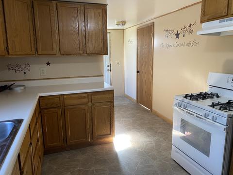 414 E Chester St, Cabery, IL 60919 photo 30